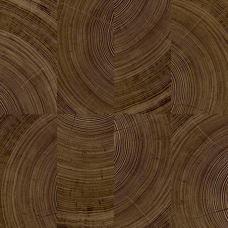 Galerie Karuna Photographic Motive Brown Wallpaper KRA69103