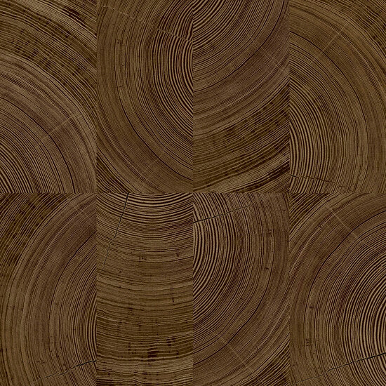 Galerie Karuna Photographic Motive Brown Wallpaper KRA69103