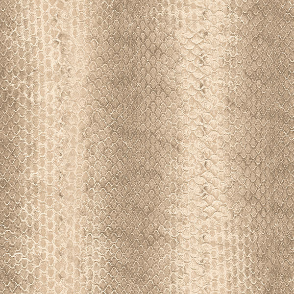 Patton / Norwall NFX G67426 Texture