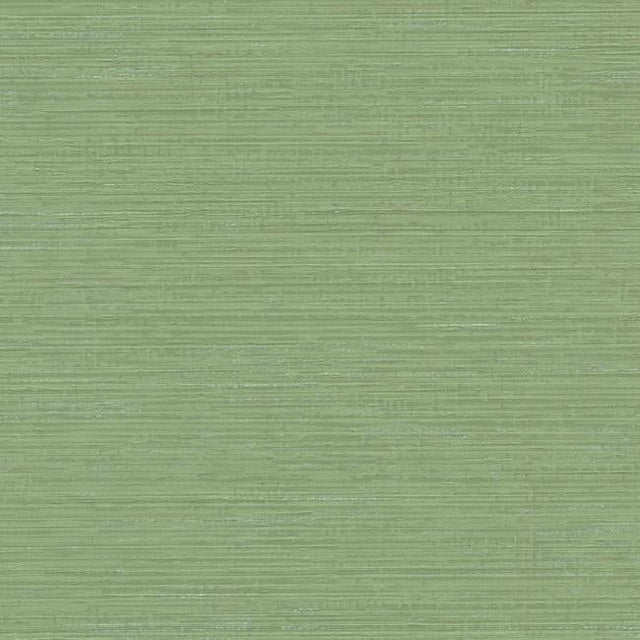 York TL6128N Fine Line High Performance Wallpaper - Eade's Wallpaper