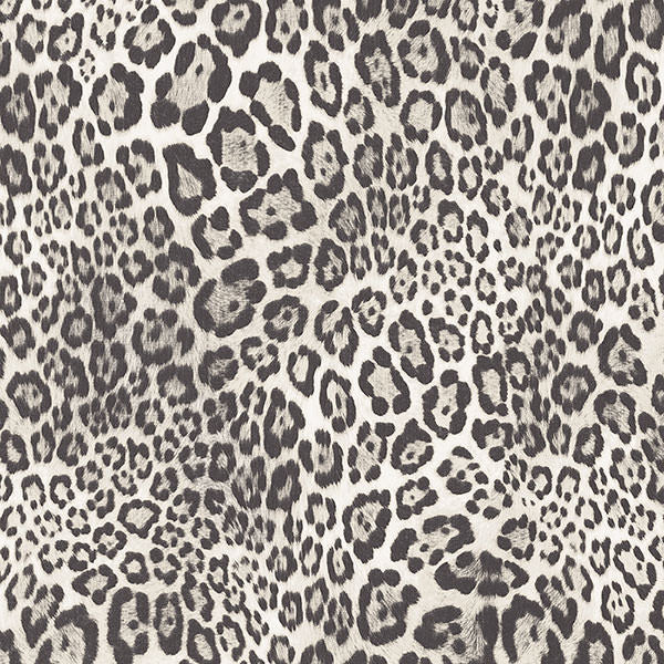 Patton / Norwall NFX G67462 Texture