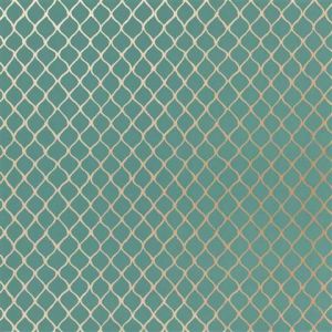 5005911 ― Eades Discount Wallpaper & Discount Fabric
